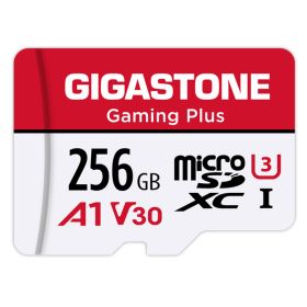 256GB GMPLUS MICRO SD CRD