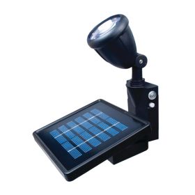 SOLAR LED FLAG LIGHT